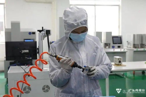 科技種子在南寧開花結果，網絡技術創新激發經濟新活力