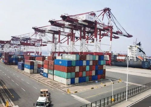 2021.02.26 輕松早茶 自營與代理貨物及技術(shù)進(jìn)出口解析